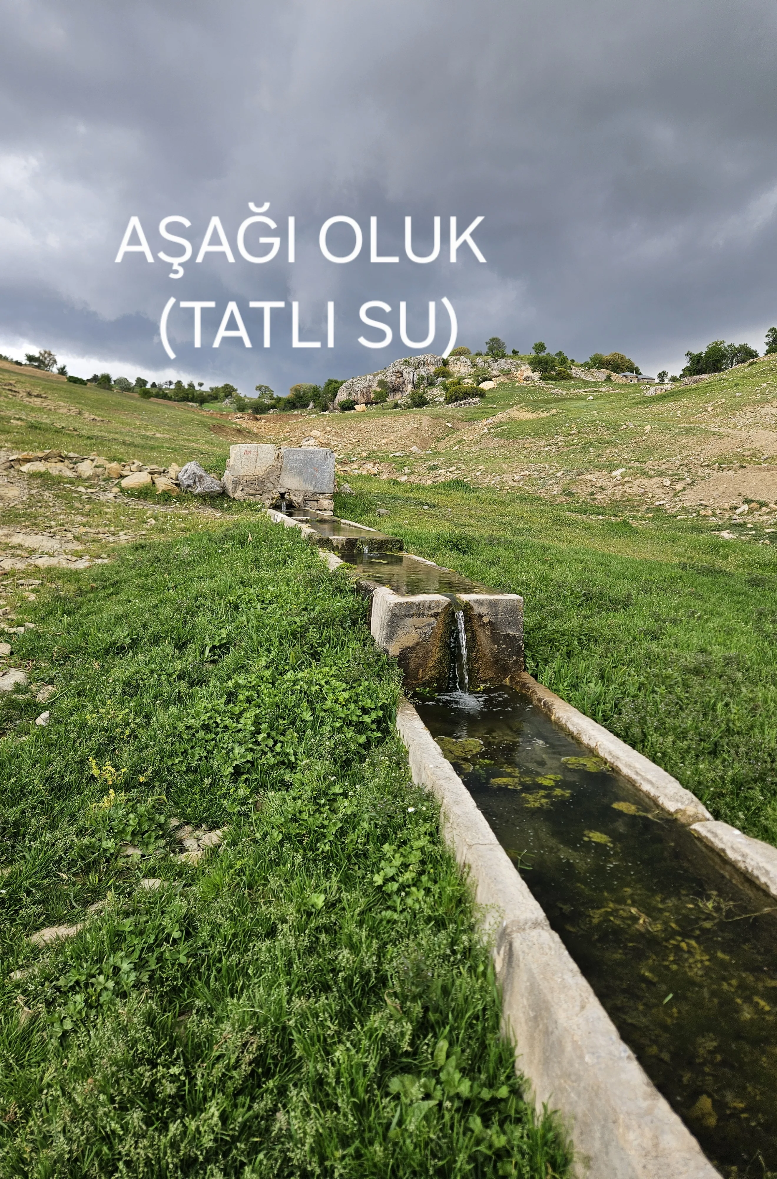 AŞAĞIOLUK TATLI SU